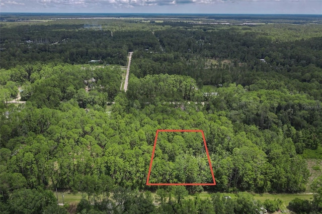 5274 Olive Ave, Bunnell, FL 32110 - photo 1