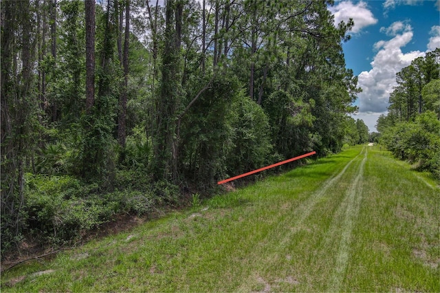 5274 Olive Ave, Bunnell, FL 32110 - photo 2