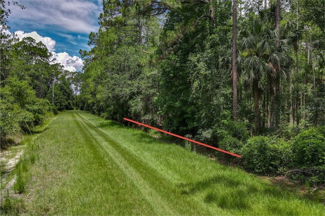 5274 Olive Ave, Bunnell, FL 32110 - photo 3