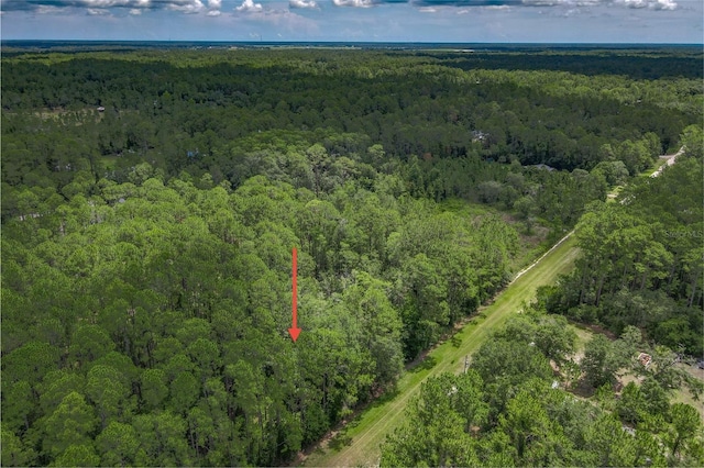 5274 Olive Ave, Bunnell, FL 32110 - photo 4