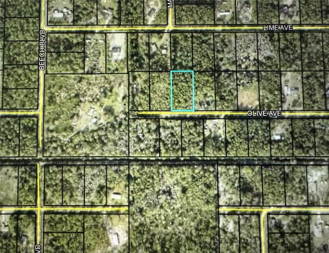5274 Olive Ave, Bunnell, FL 32110 - photo 6