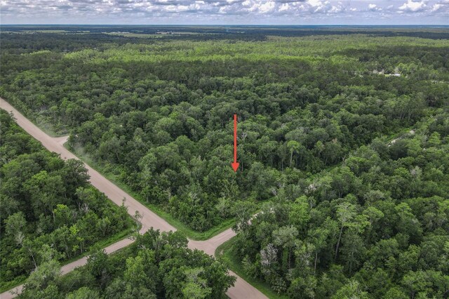 4001 Evergreen Ave, Bunnell, FL 32110