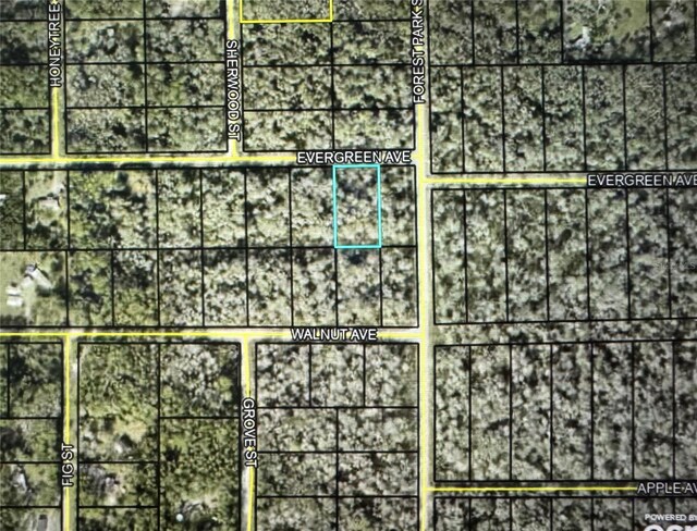 4001 Evergreen Ave, Bunnell, FL 32110