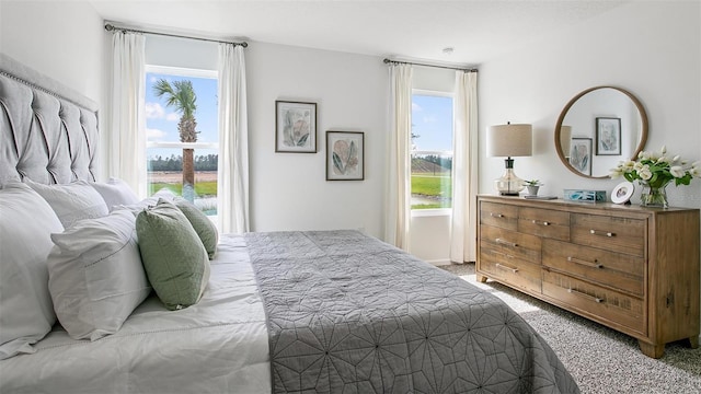 8 Mill Wheel Ct S, Palm Coast, FL 32137 - bedroom with light carpet and multiple windows