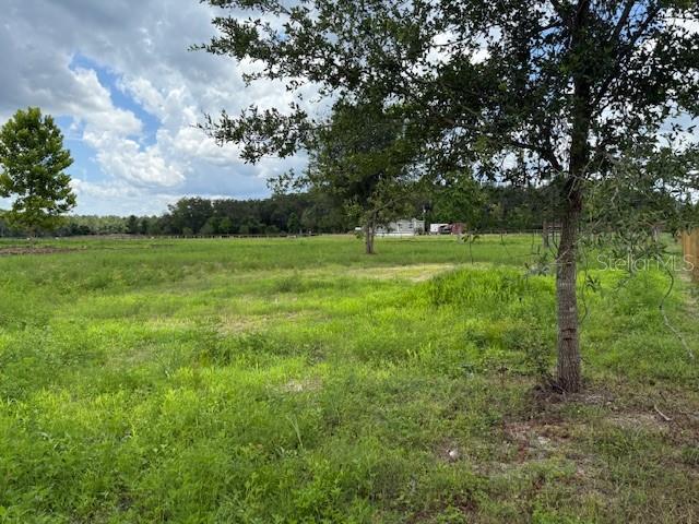 594 E County Road 90, Bunnell, FL 32110 - photo 10