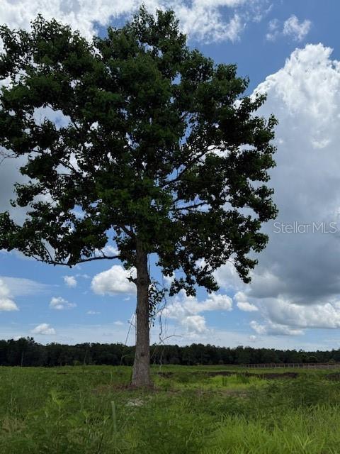 594 E County Road 90, Bunnell, FL 32110 - photo 11