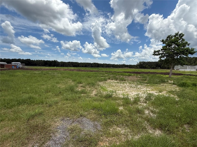 594 E County Road 90, Bunnell, FL 32110 - photo 14