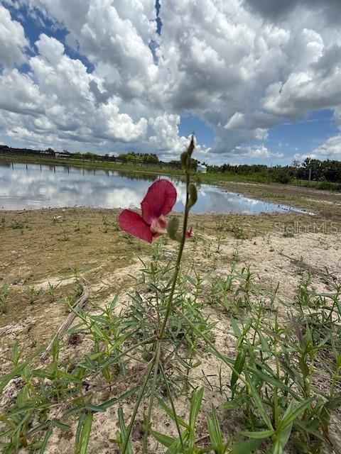 594 E County Road 90, Bunnell, FL 32110 - photo 16