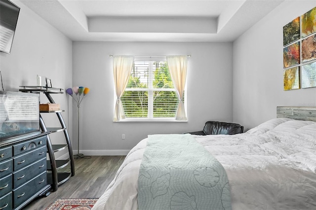 9 Elder Pl, Palm Coast, FL 32164 - bedroom featuring a tray ceiling and wood finished floors