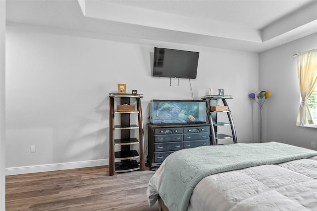 9 Elder Pl, Palm Coast, FL 32164 - bedroom featuring wood finished floors and a tray ceiling