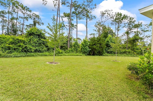 9 Elder Pl, Palm Coast, FL 32164 - view of grassy yard