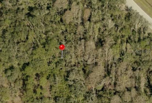 401 Indian Meadow Ct, Wimauma, FL 33598 - photo 2