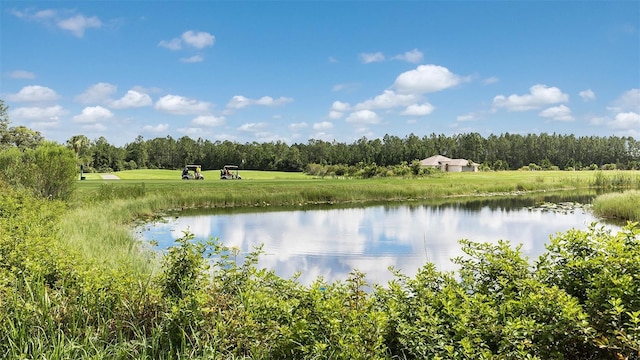 816 Grand Reserve Dr, Bunnell, FL 32110 - photo 34