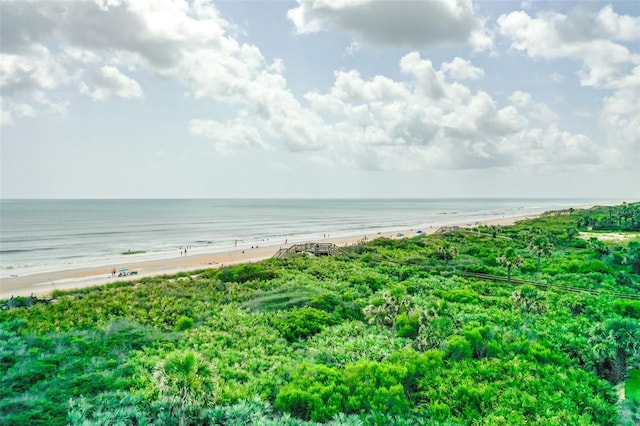29 Ocean Ridge Blvd S, Palm Coast, FL 32137 - photo 24
