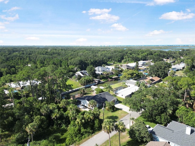117 Azalea Rd, Edgewater, FL 32141 - photo 41