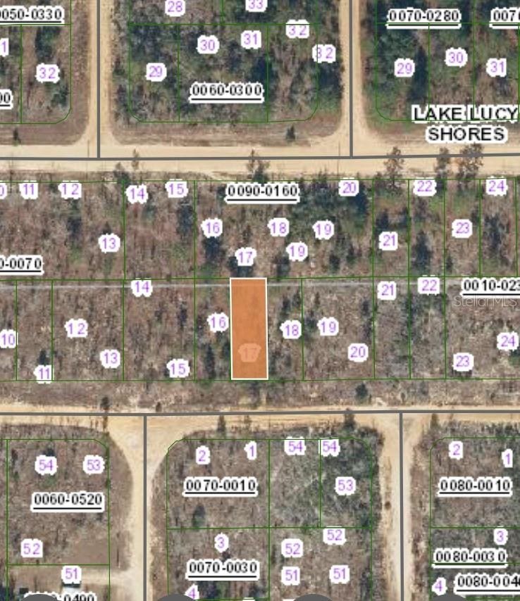 154 1st Ave, Interlachen, FL 32148