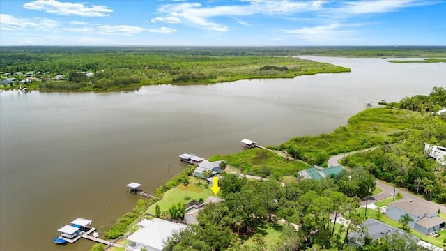 2940 Sunset Dr, New Smyrna Beach, FL 32168 - bird's eye view of a nearby body of water and a heavily wooded area