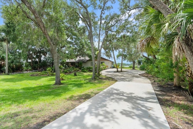 2940 Sunset Dr, New Smyrna Beach, FL 32168 - surrounding community with a lawn and concrete driveway