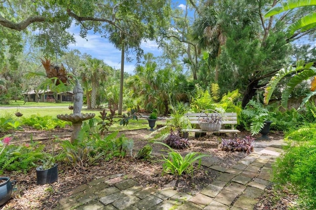 2940 Sunset Dr, New Smyrna Beach, FL 32168 - view of yard
