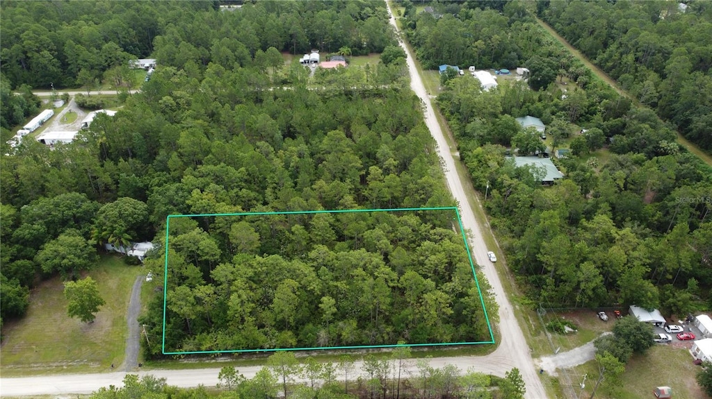 4694 Clove Ave, Bunnell, FL 32110