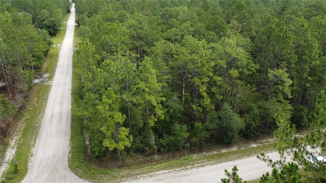 4694 Clove Ave, Bunnell, FL 32110 - photo 2