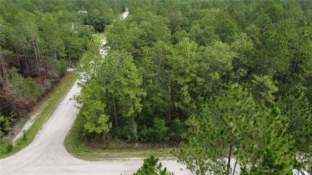 4694 Clove Ave, Bunnell, FL 32110 - photo 3