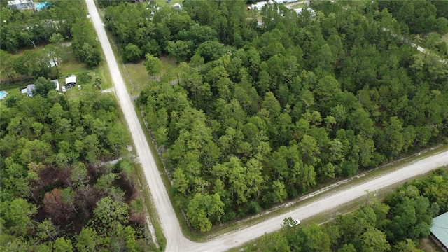 4694 Clove Ave, Bunnell, FL 32110 - photo 4