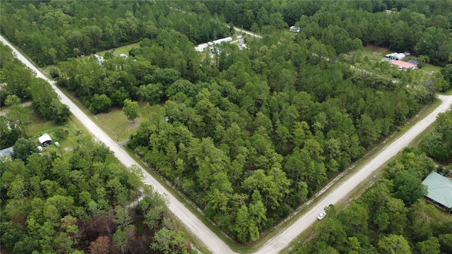 4694 Clove Ave, Bunnell, FL 32110 - photo 5