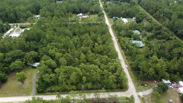 4694 Clove Ave, Bunnell, FL 32110 - photo 6