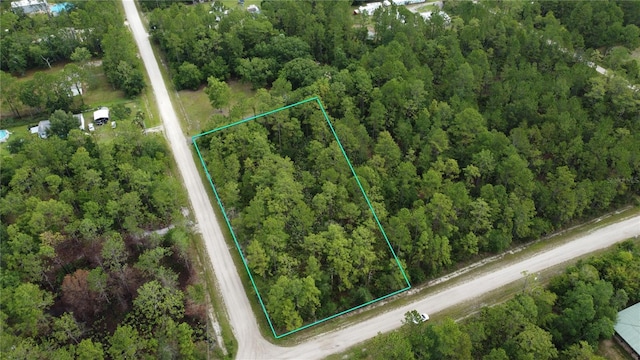 4694 Clove Ave, Bunnell, FL 32110 - photo 7