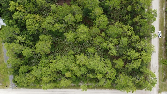 4694 Clove Ave, Bunnell, FL 32110 - photo 8