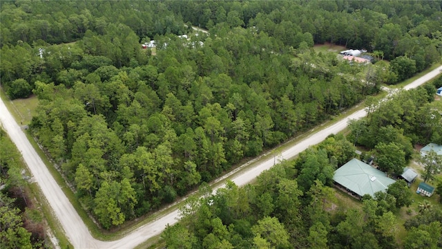 4694 Clove Ave, Bunnell, FL 32110 - photo 11
