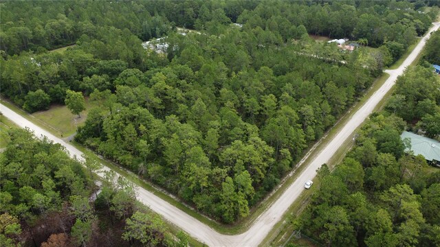 4694 Clove Ave, Bunnell, FL 32110 - photo 12