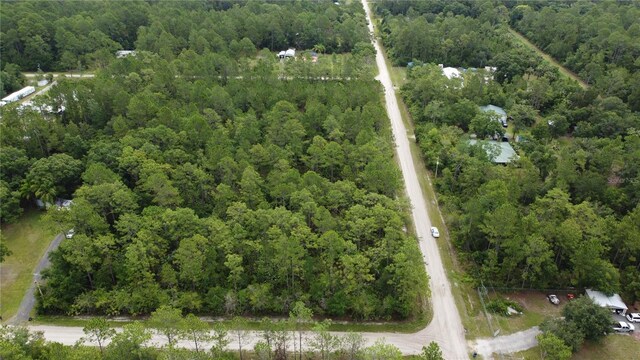 4694 Clove Ave, Bunnell, FL 32110 - photo 13