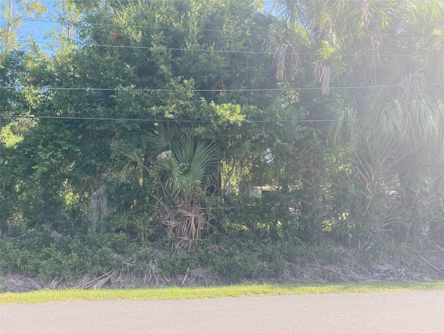 804 Fourth St, Bunnell, FL 32110