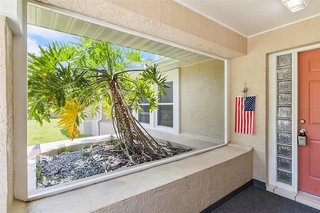 5 Wilksboro Pl, Palm Coast, FL 32164 - entrance to property featuring stucco siding