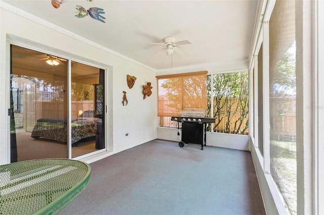 5 Wilksboro Pl, Palm Coast, FL 32164 - sunroom featuring ceiling fan