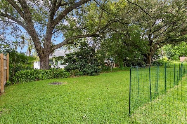 5 Wilksboro Pl, Palm Coast, FL 32164 - view of yard