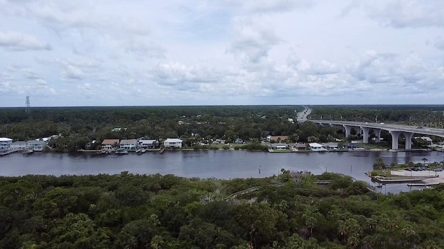 12 Village Dr, Flagler Beach, FL 32136 - photo 33