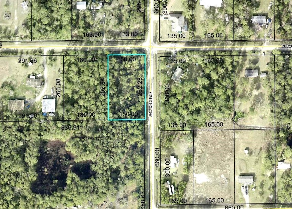 5958 Nutwood Ave, Bunnell, FL 32110 - photo 1
