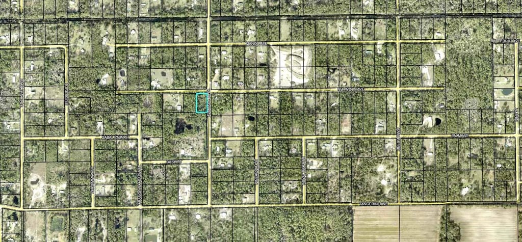 5958 Nutwood Ave, Bunnell, FL 32110 - photo 2