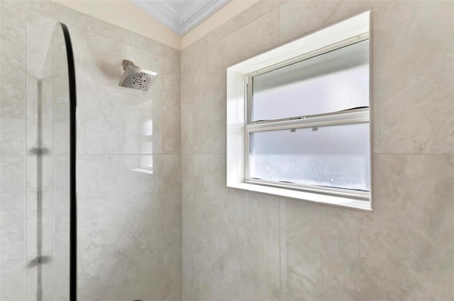 12 Comet Ct, Palm Coast, FL 32137 - bathroom with a tile shower