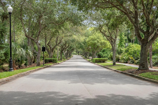 67 Lagare St, Palm Coast, FL 32137 - view of property's community