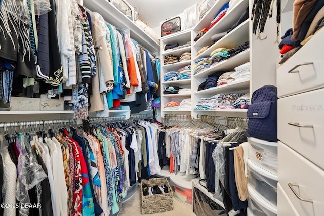 231 Riverside Dr Unit 103-1, Daytona Beach, FL 32117 - view of walk in closet