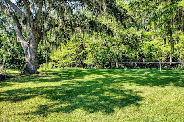 14 Black Oak Ct, Palm Coast, FL 32137 - photo 24
