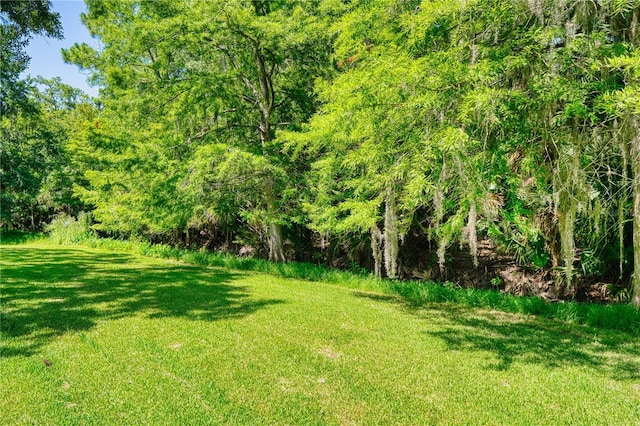 14 Black Oak Ct, Palm Coast, FL 32137 - photo 27