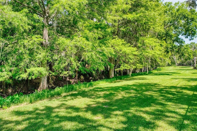 14 Black Oak Ct, Palm Coast, FL 32137 - photo 28