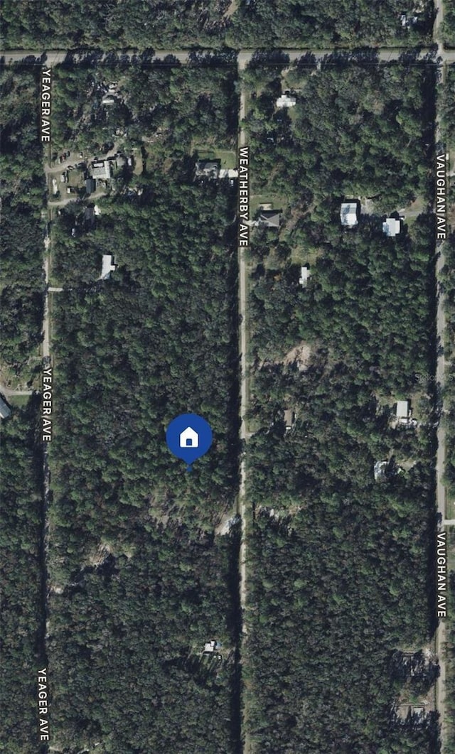 10105 Weatherby Ave, Hastings, FL 32145 - photo 1