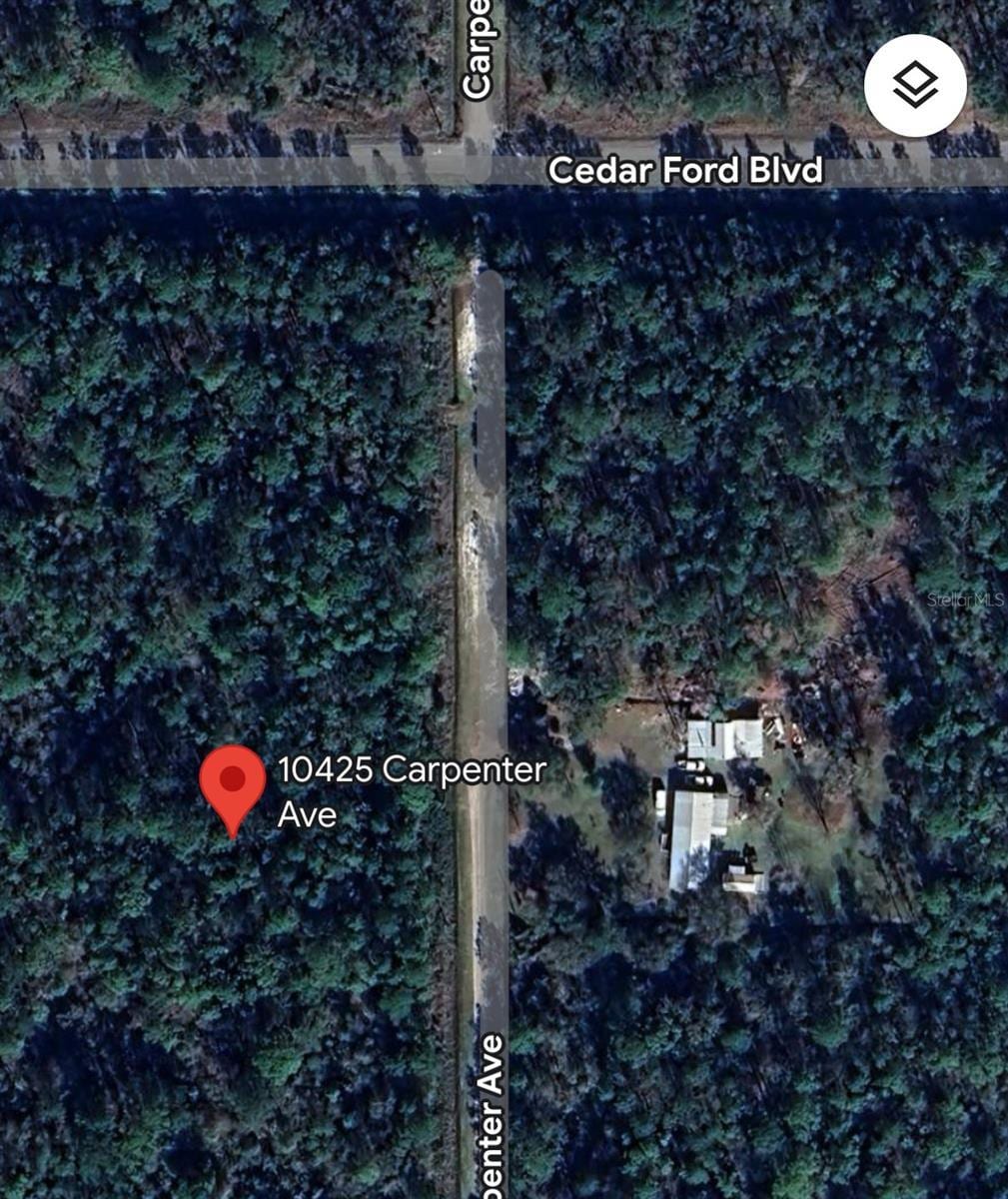 10425 Carpenter Ave, Hastings, FL 32145