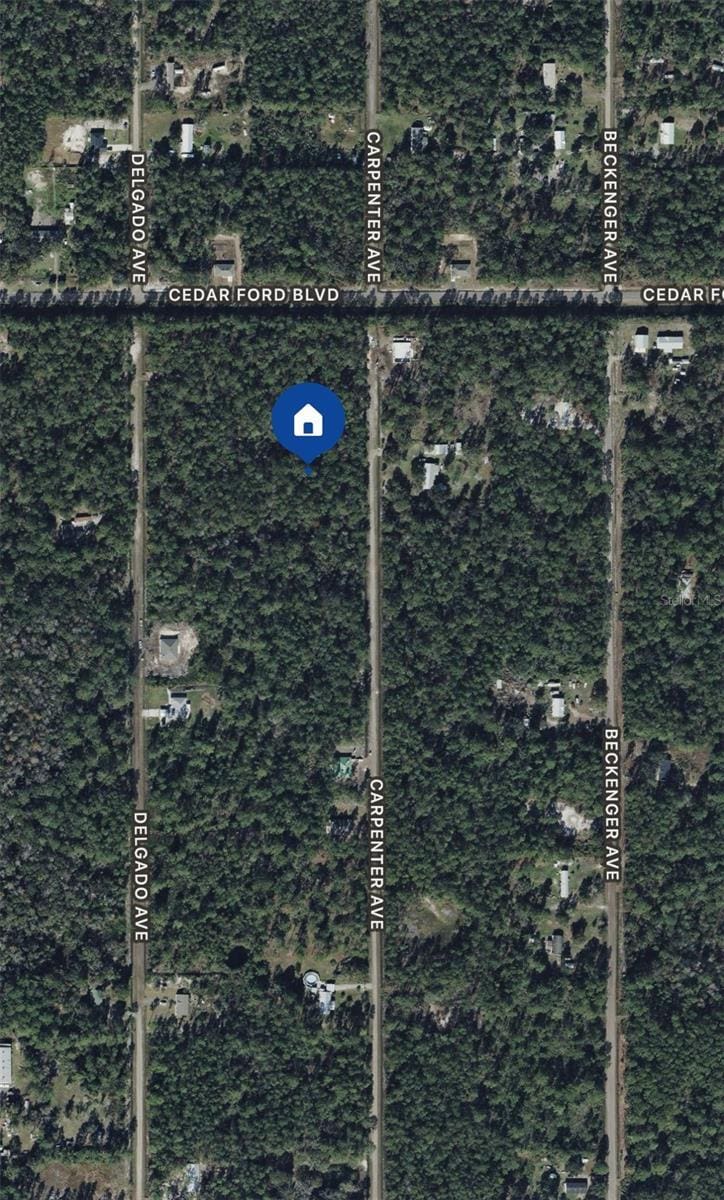 10425 Carpenter Ave, Hastings, FL 32145